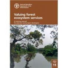 Valuing Forest Ecosystem Services 19th
